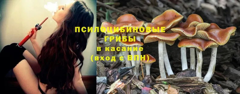 магазин    Верхний Уфалей  Псилоцибиновые грибы Magic Shrooms 